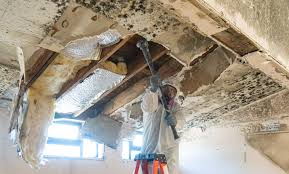 Best Real Estate Mold Inspection  in Sylvan Springs, AL